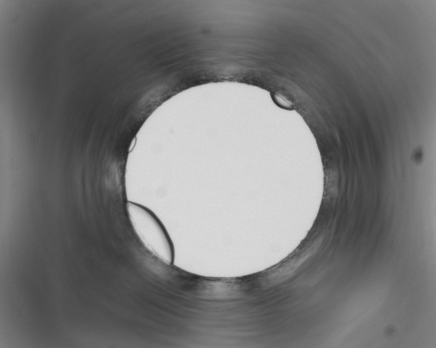 X0000116350286201001131112
