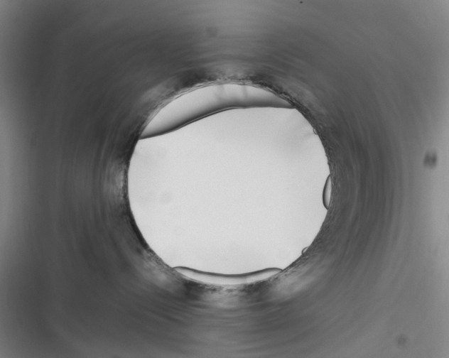 X0000116350288201001131113
