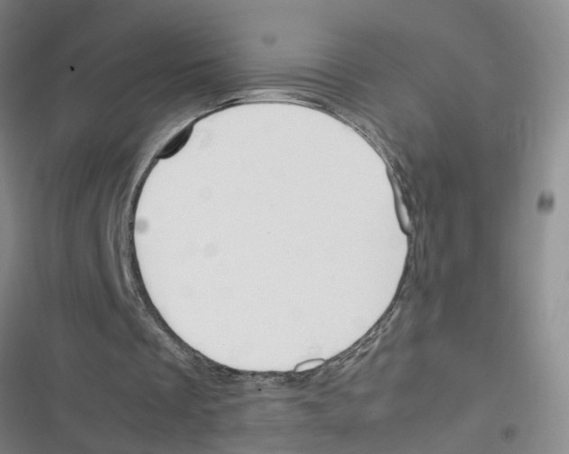 X0000116350289201001131112