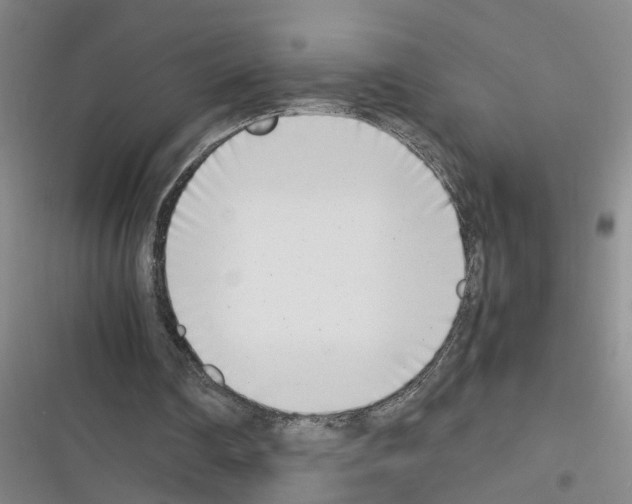 X0000116350290201001131112