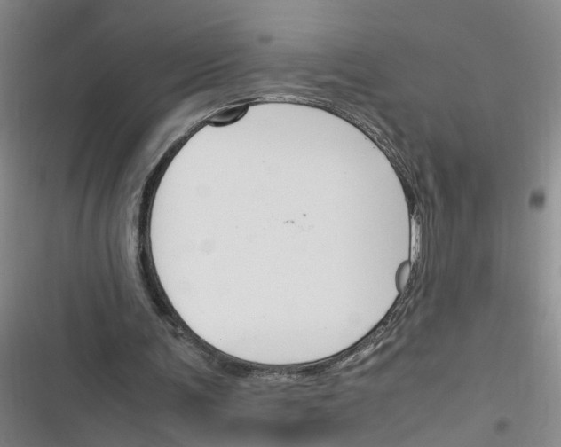 X0000116350291201001131112
