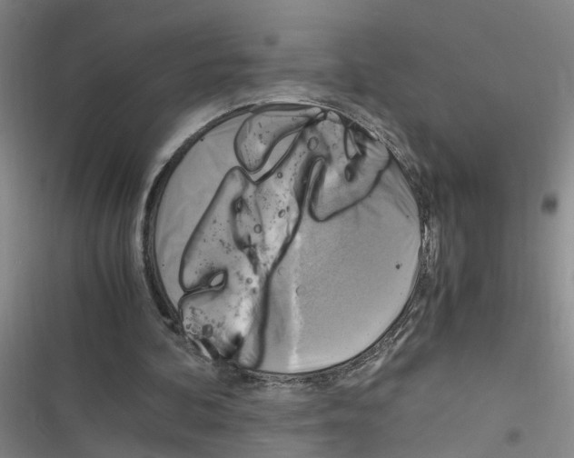 X0000116350292201001131112