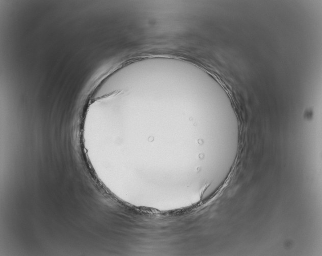 X0000116350293201001131112
