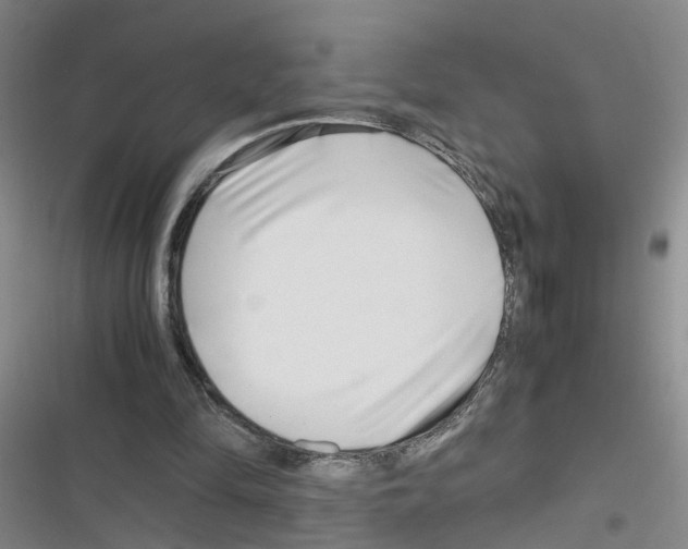 X0000116350294201001131112
