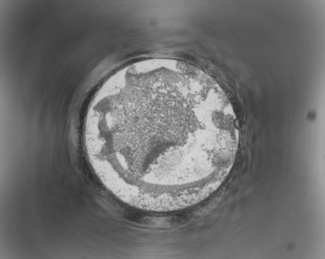 X0000116350295201001131112
