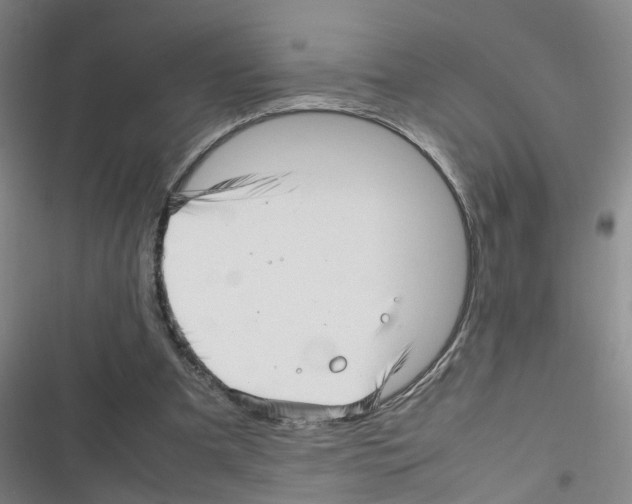 X0000116350297201001131112