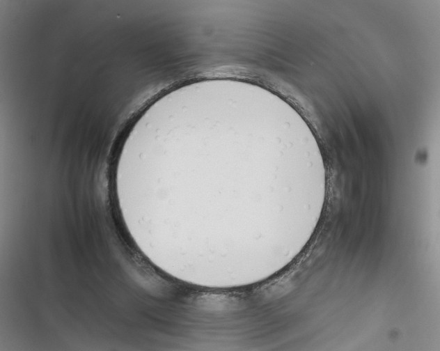 X0000116350298201001131112