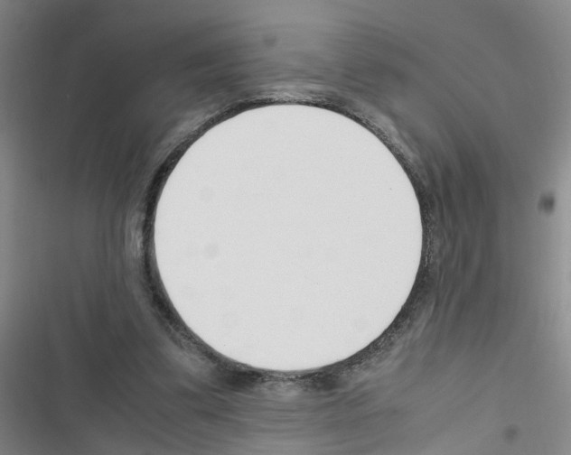 X0000116350299201001131112