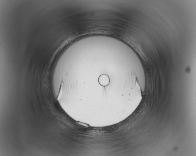 X0000116350300201001131112