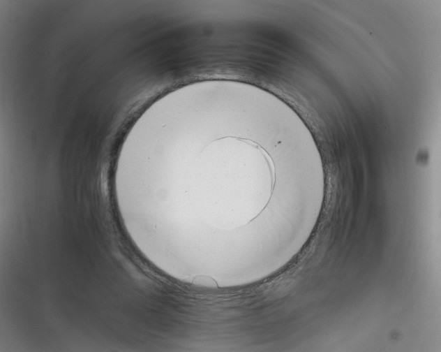 X0000116350302201001131112