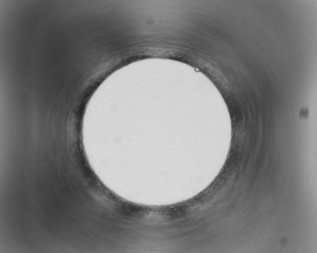 X0000116350303201001131112