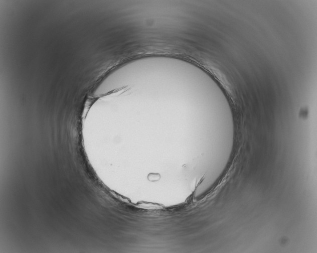 X0000116350305201001131112