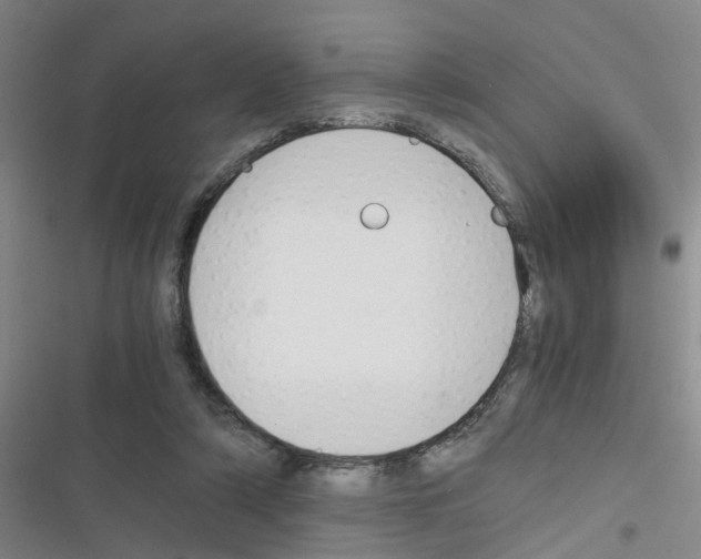 X0000116350306201001131112