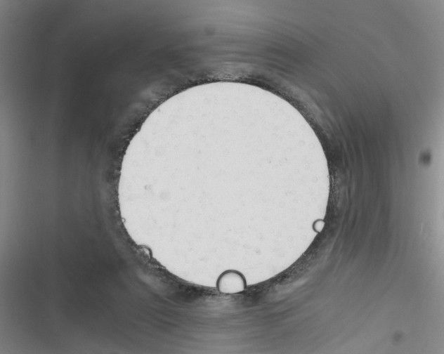 X0000116350307201001131112