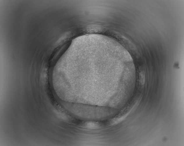 X0000116350308201001131112