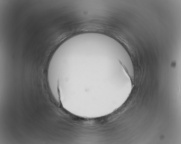 X0000116350309201001131112