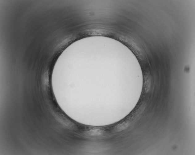 X0000116350310201001131112