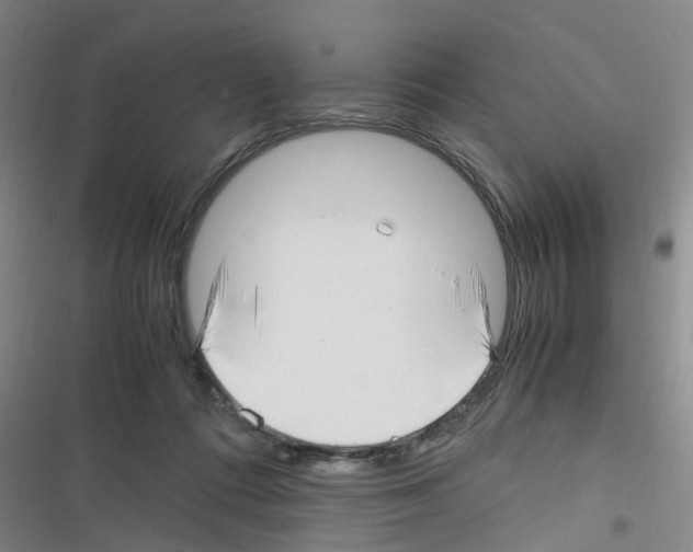 X0000116350312201001131112