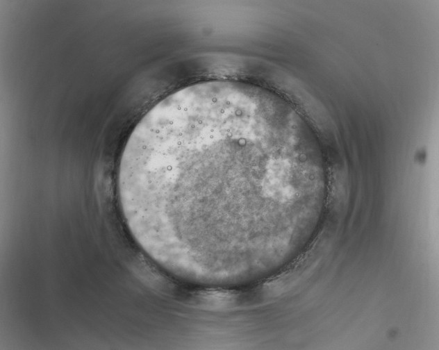 X0000116350313201001131112