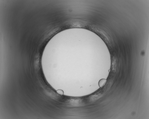 X0000116350314201001131112