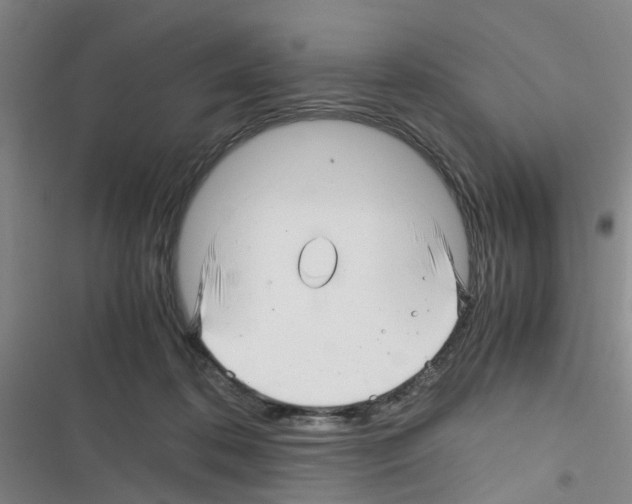 X0000116350316201001131111