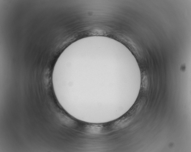 X0000116350318201001131111