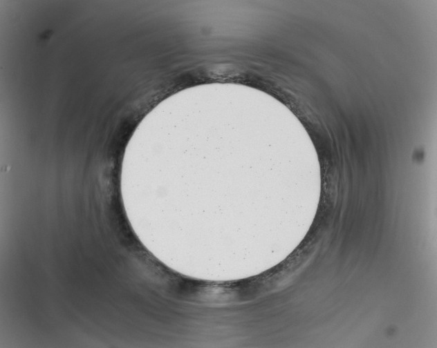 X0000116350319201001131111