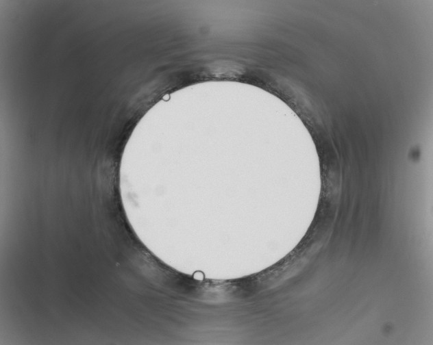 X0000116350321201001131111