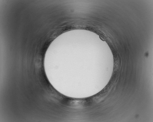 X0000116350323201001131111