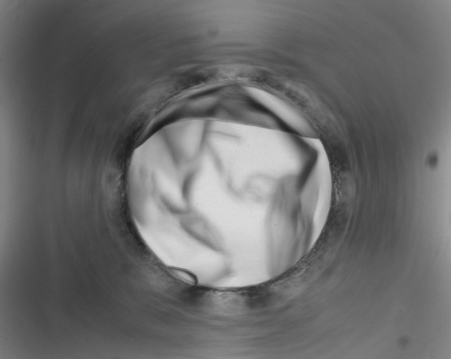 X0000116350327201001131111