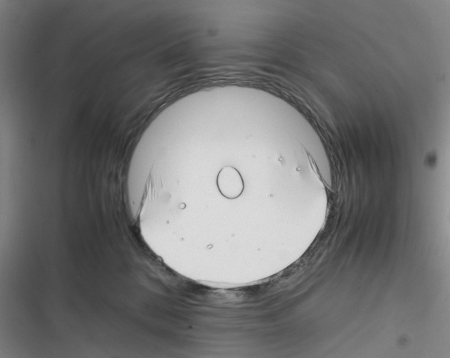 X0000116350328201001131111