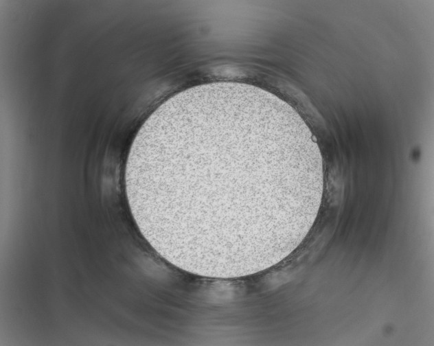 X0000116350330201001131111