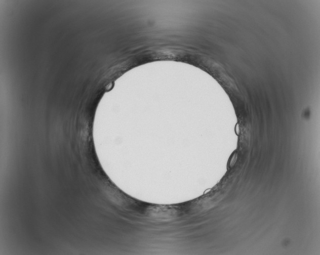 X0000116350331201001131111