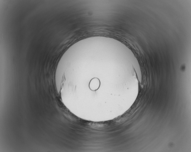 X0000116350332201001131111