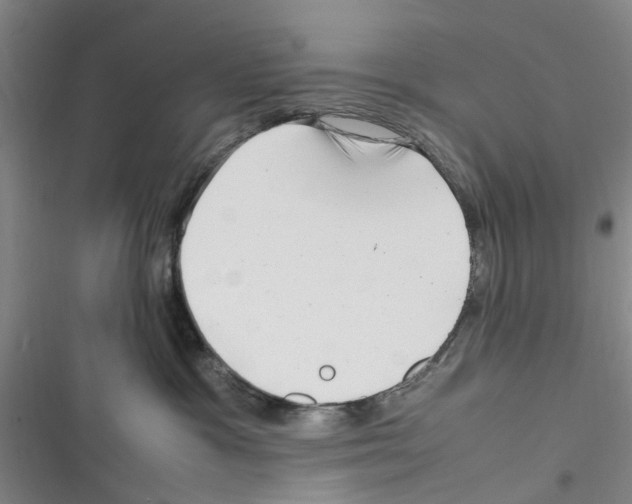 X0000116350333201001131111