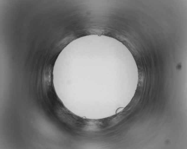 X0000116350334201001131111