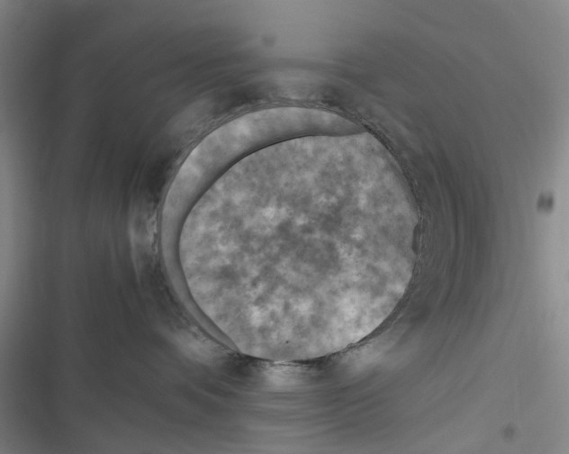 X0000116350336201001131111
