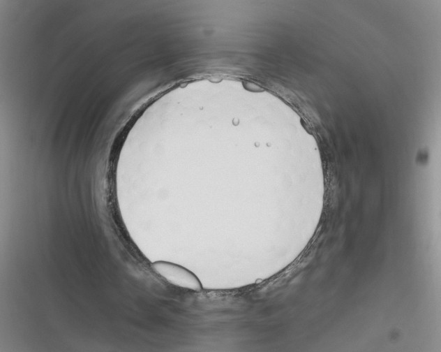 X0000116350338201001131111
