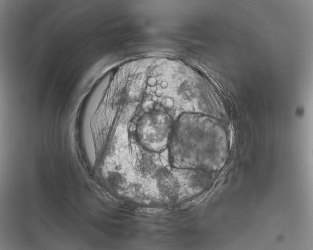 X0000116350339201001131111