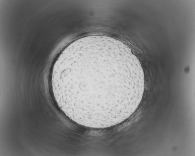 X0000116350341201001131111