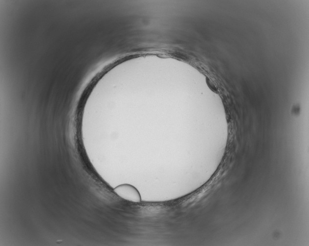 X0000116350342201001131111