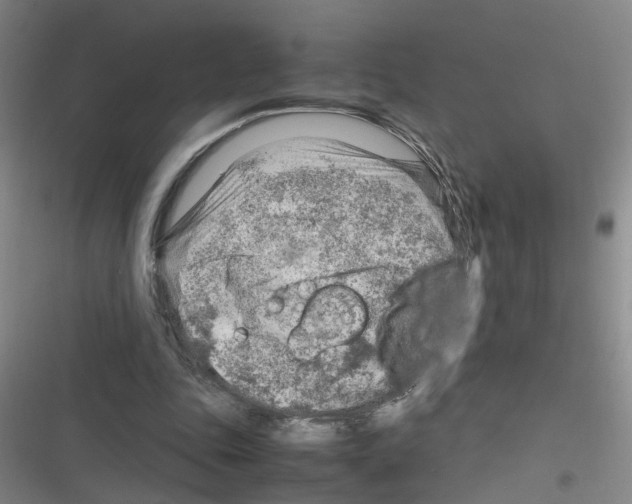 X0000116350343201001131111