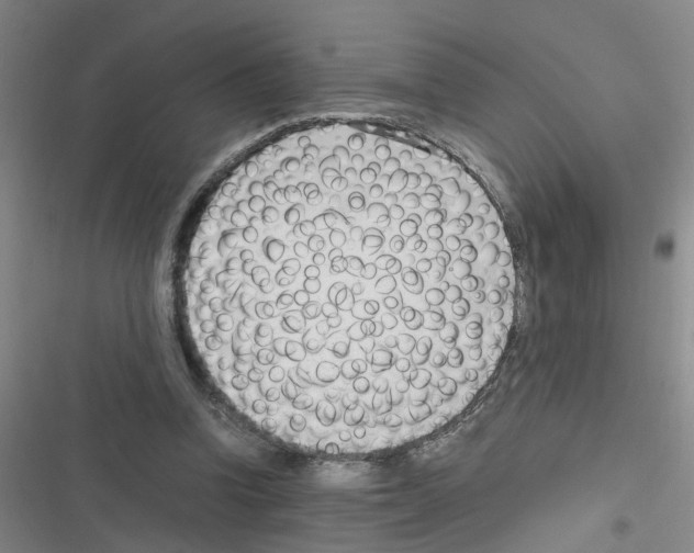 X0000116350346201001131111