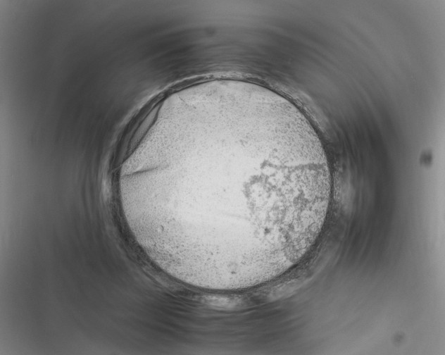 X0000116350347201001131111