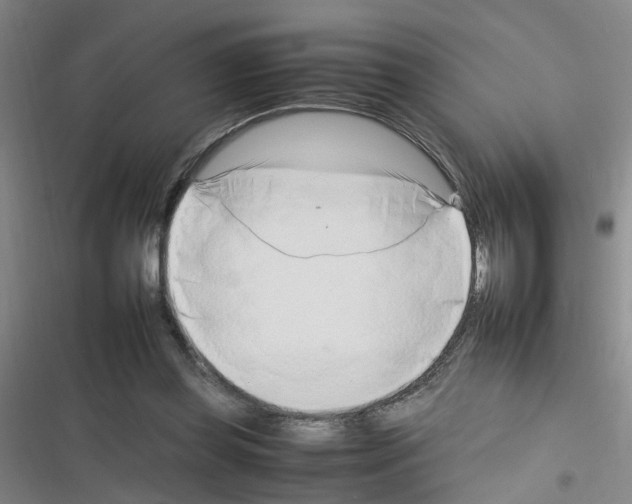 X0000116350349201001131111