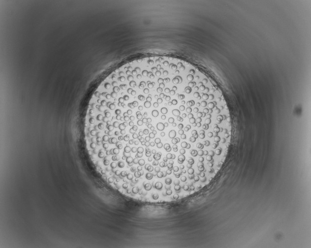 X0000116350354201001131111