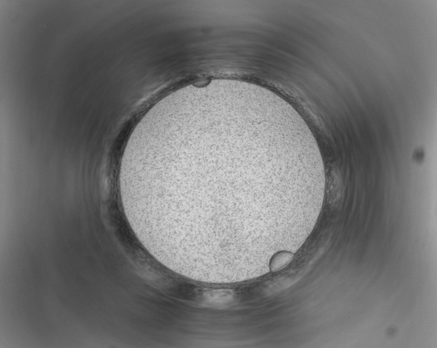 X0000116350355201001131111