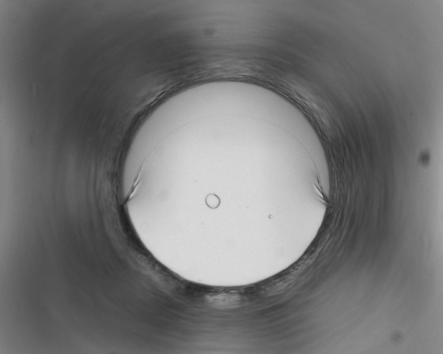 X0000116350362201001131111