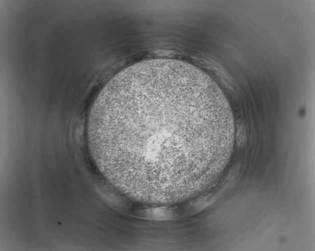 X0000116350365201001131111
