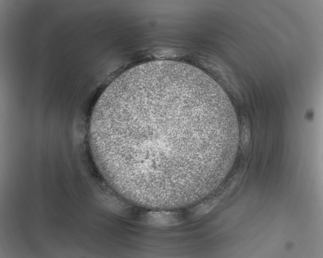 X0000116350367201001131111